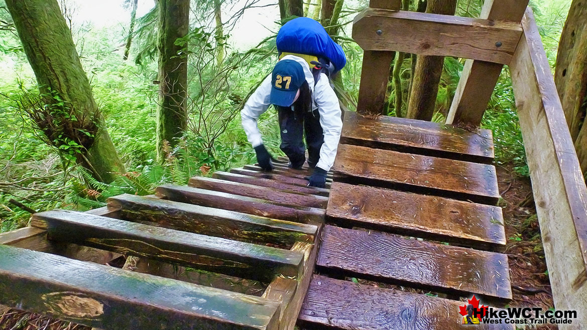 West Coast Trail 11 2 Amazing Ladders