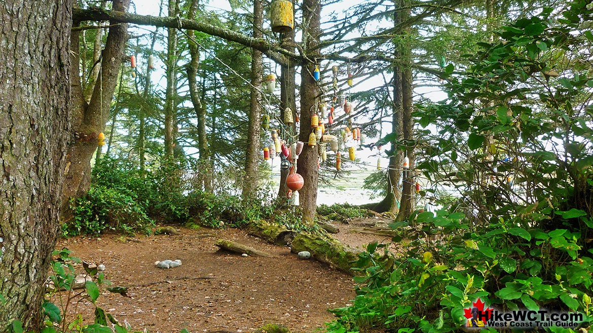 Michigan Creek Campsite