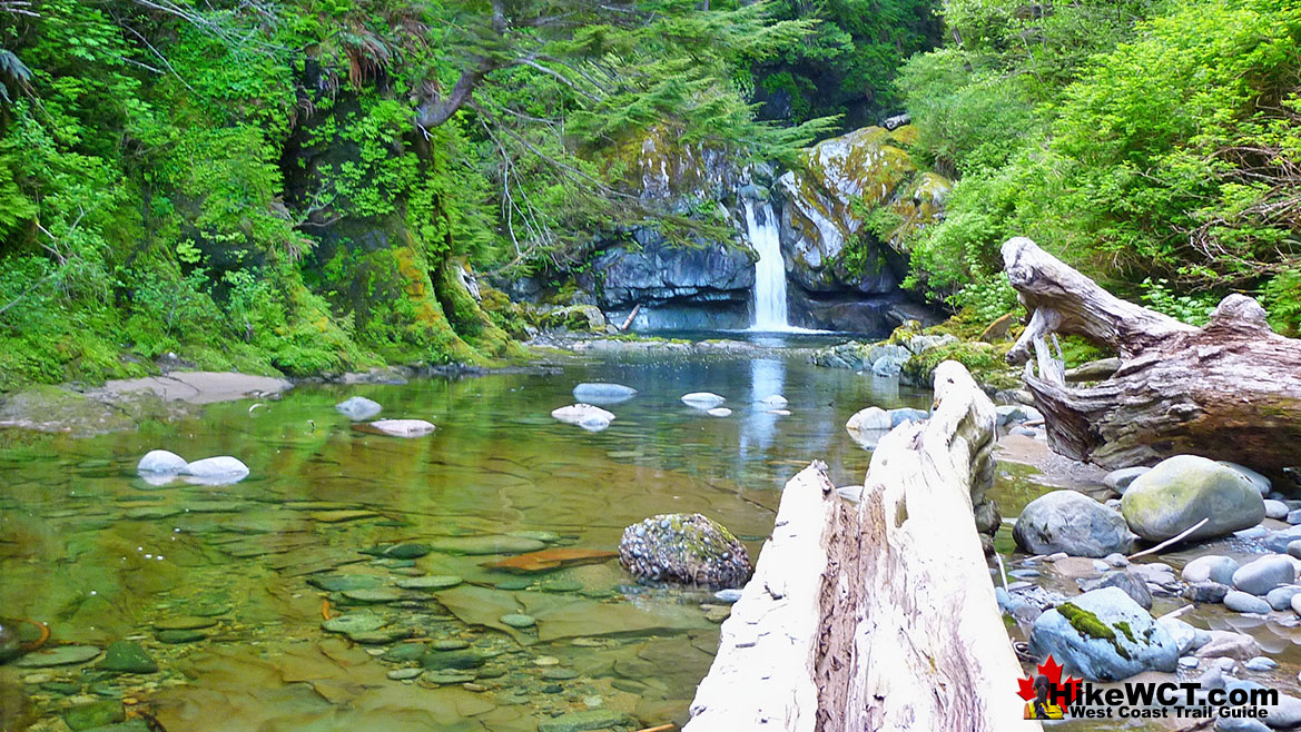 Darling Falls Deadfall West Coast Trail