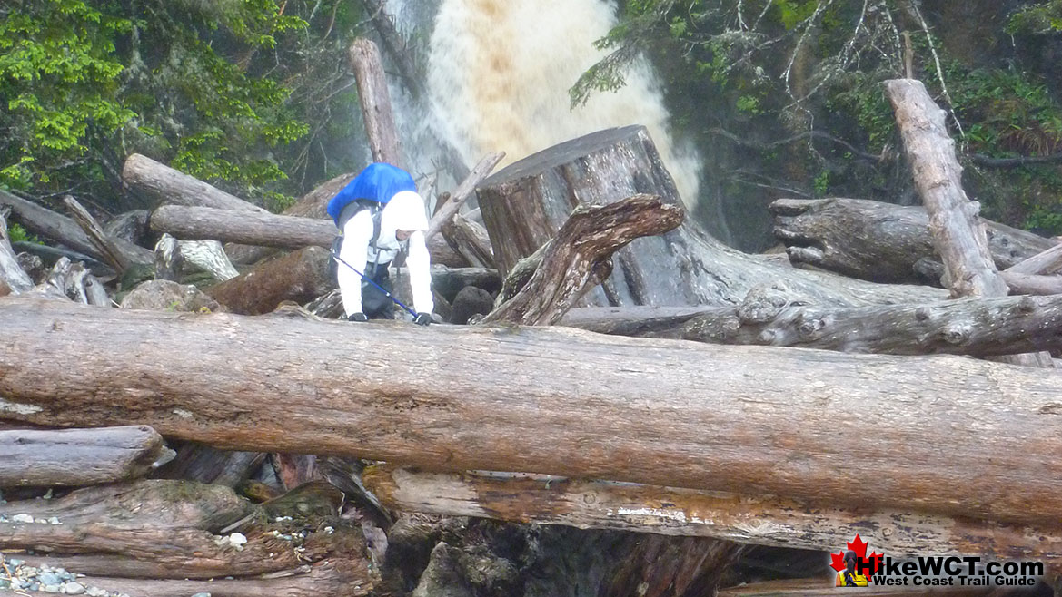 Orange Juice Creek Deadfall Crossing