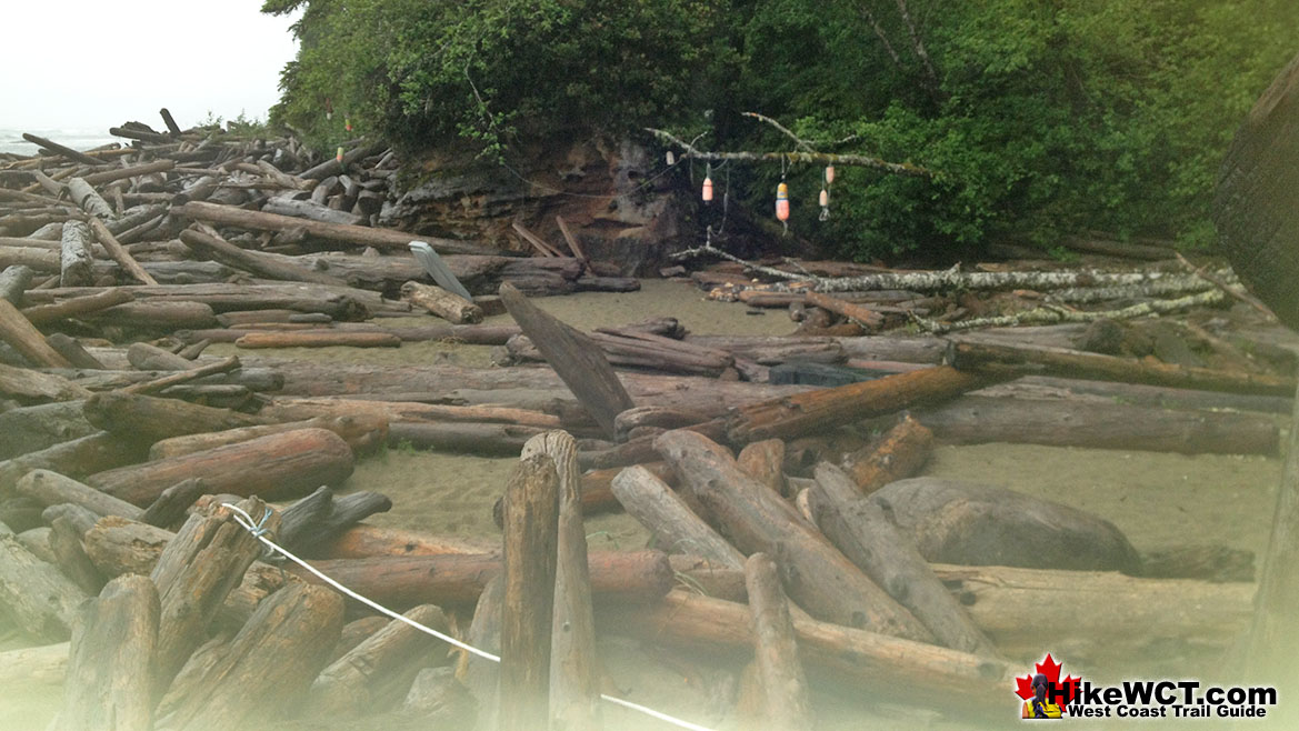 Tsocowis Creek Beach Campsite