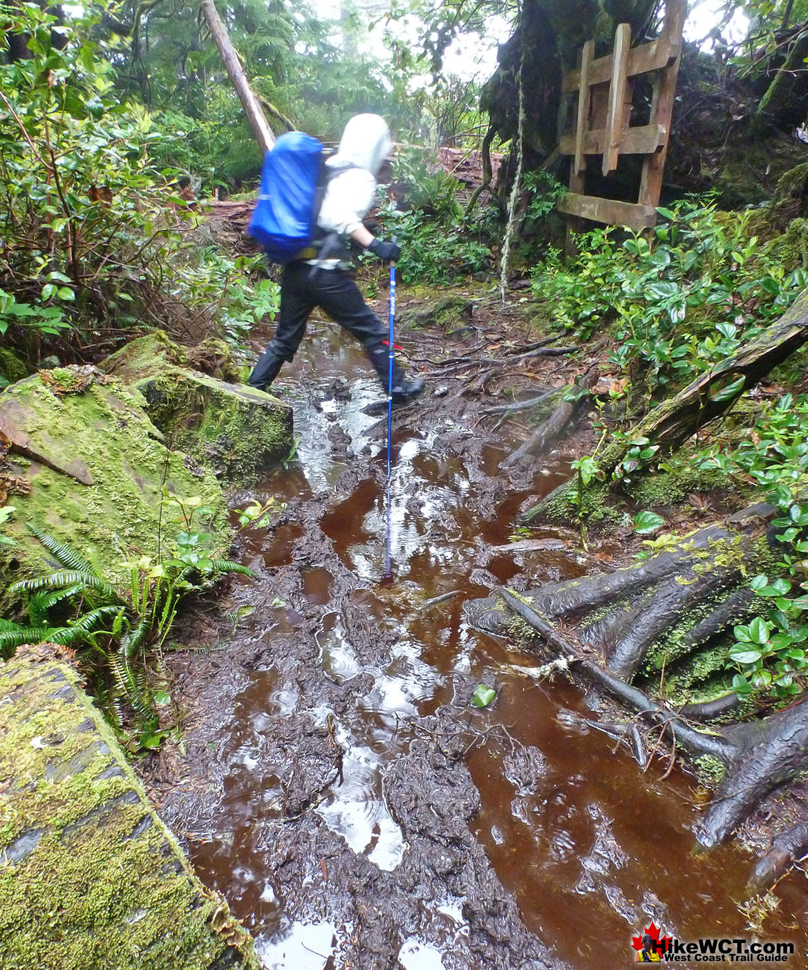 West Coast Trail Mud