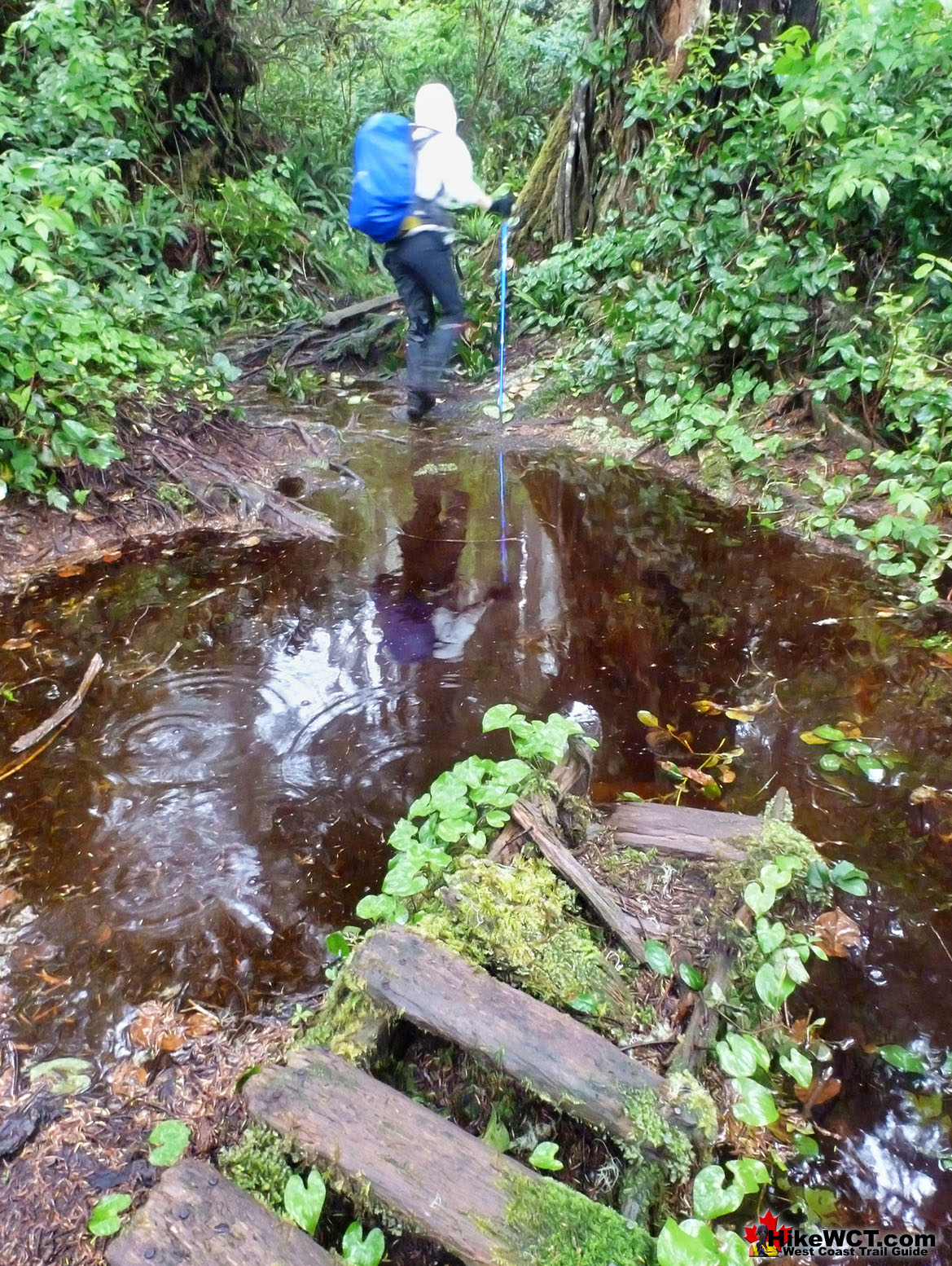 Antique Boardwalk Through Mud