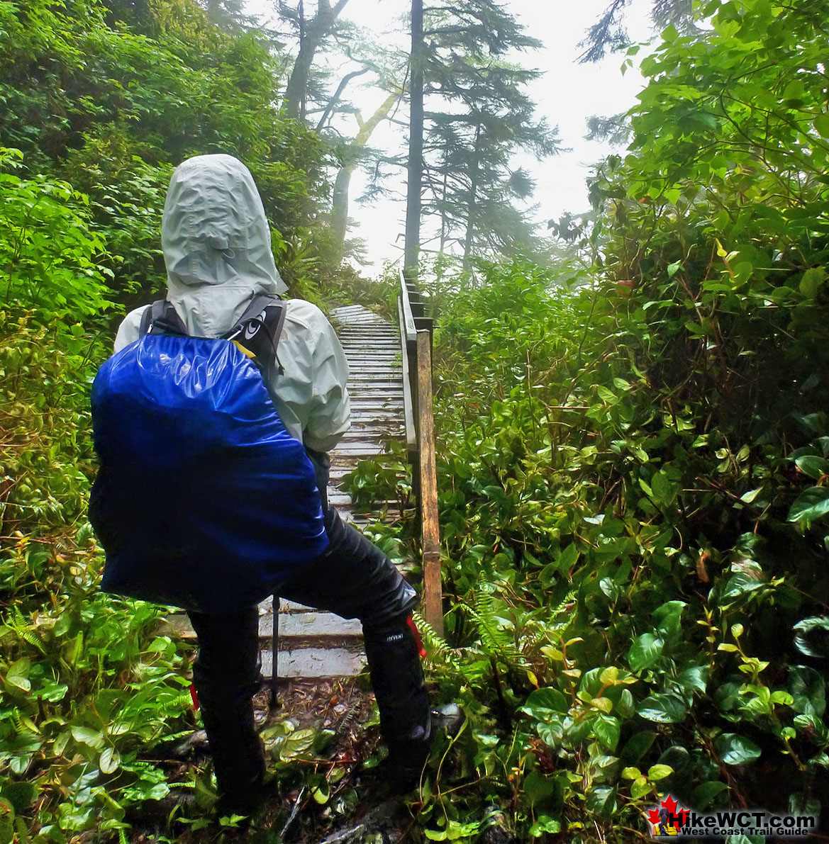 West Coast Trail Beach Stairs