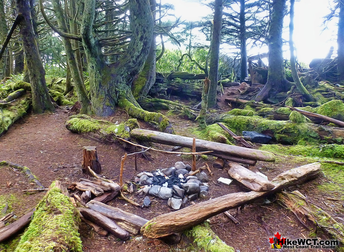 Klanawa River Forest Campsite