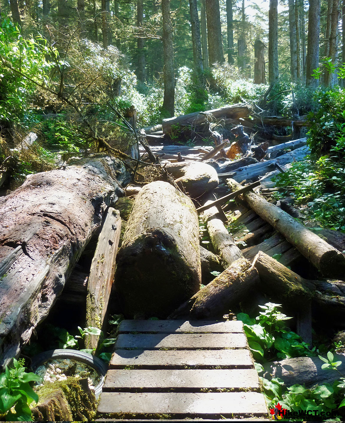 Boardwalk Destroyed West Coast Trail