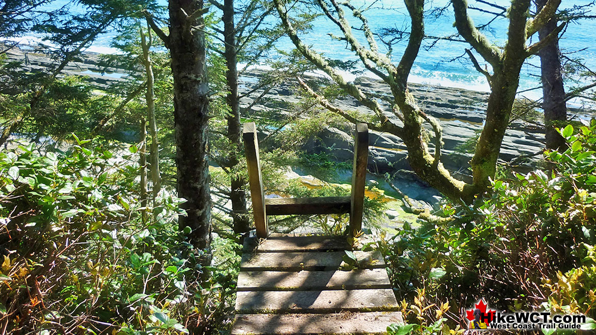 Ladder at 41km West Coast Trail