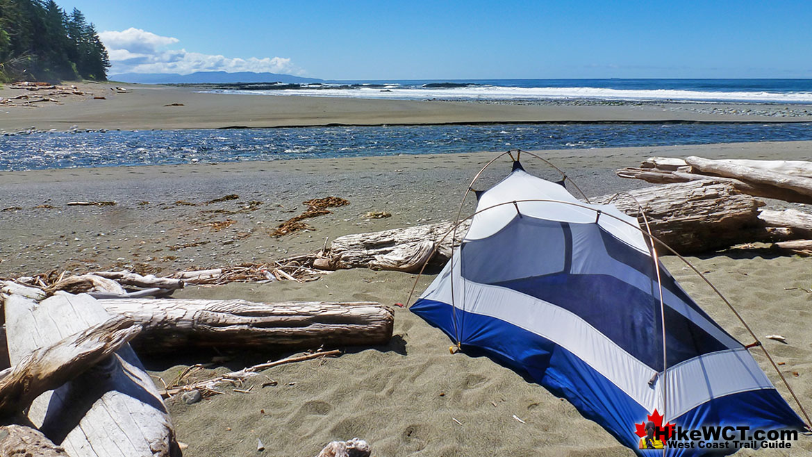 Carmanah Creek Campsite Best of West Coast Trail