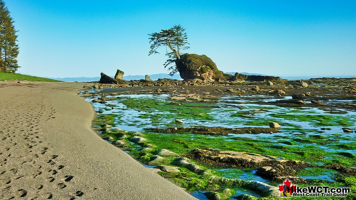 Bonilla Point West Coast Trail