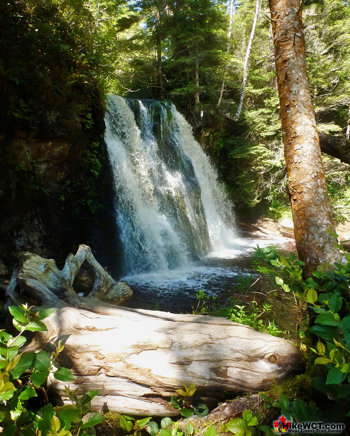 Gorgeous Bonilla Falls West Coast Trail