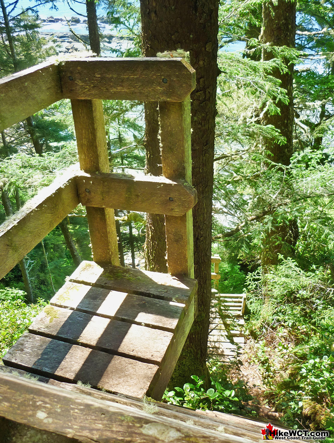 Insane West Coast Trail Ladders