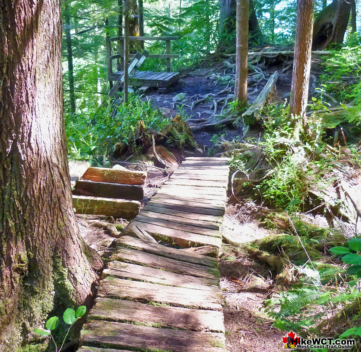 Boardwalk Ends at Steep Ladders Down