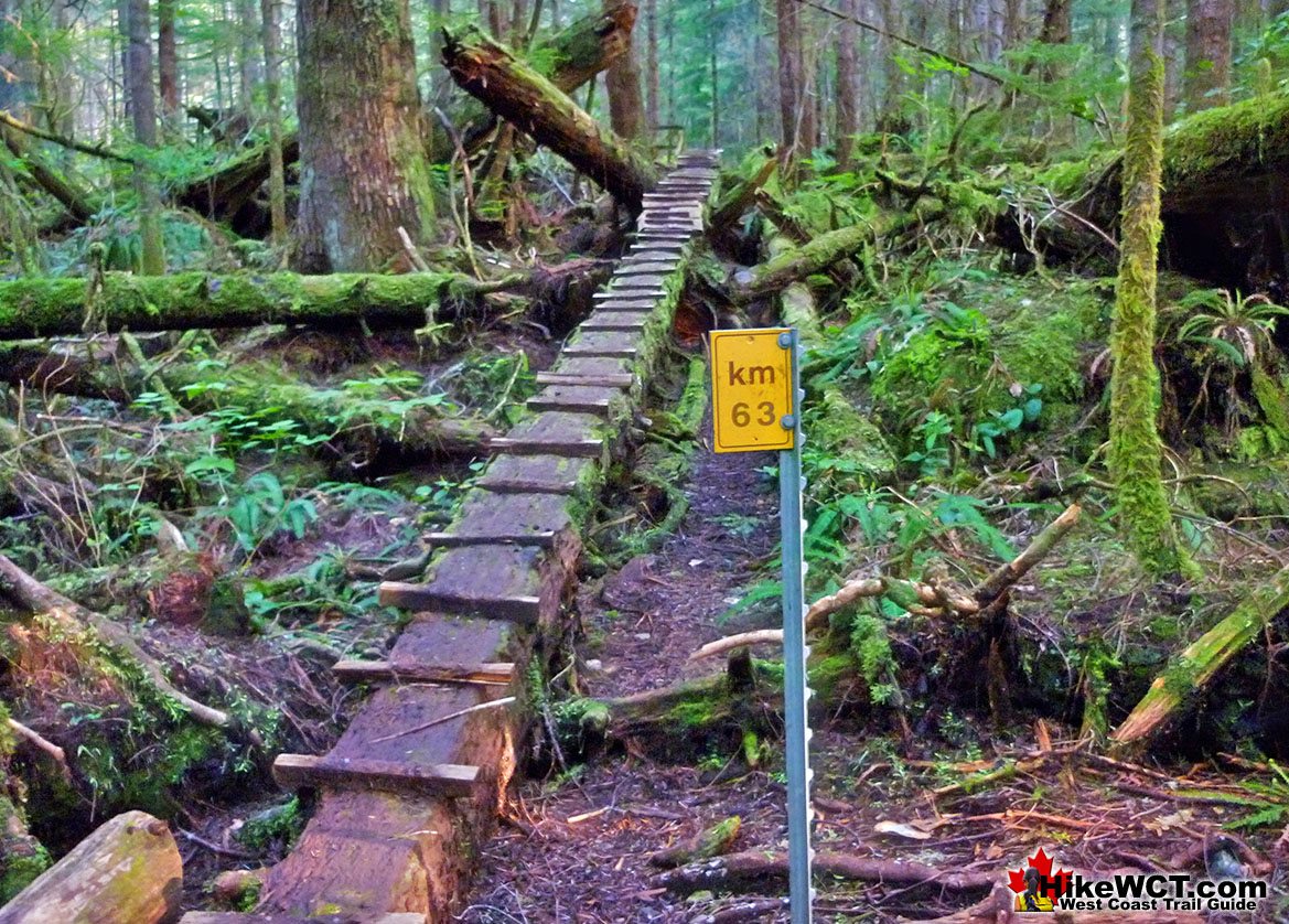 Deadfall Ramp KM63 West Coast Trail