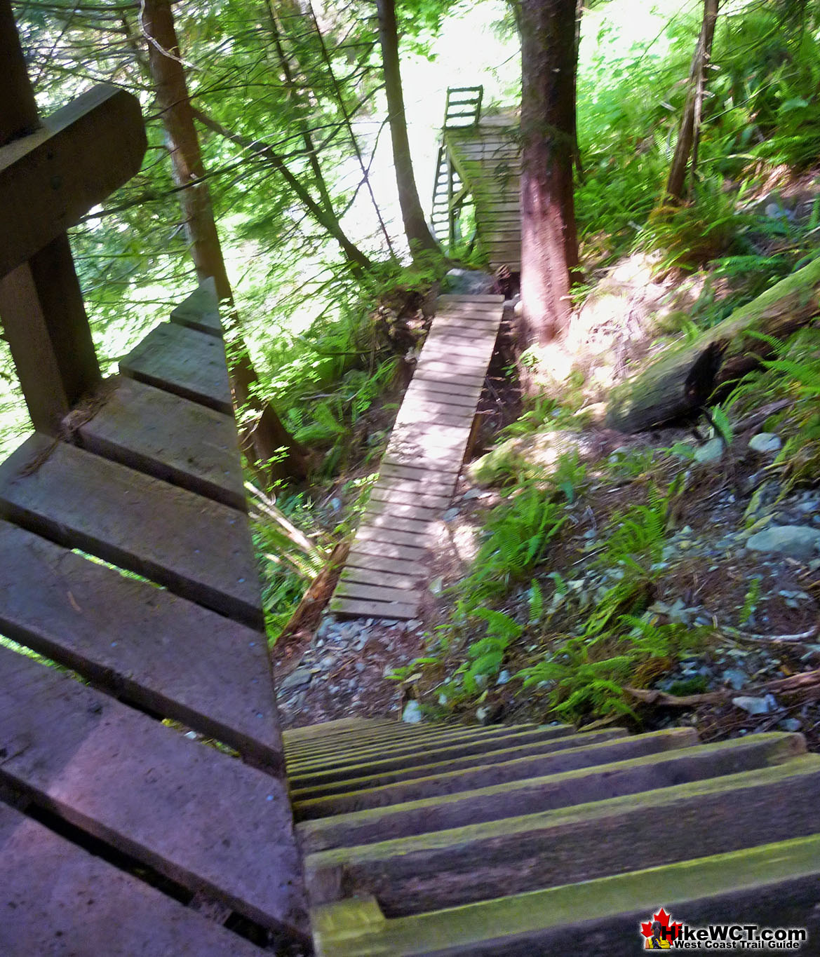 Steep Ladders Near Thrasher Cove