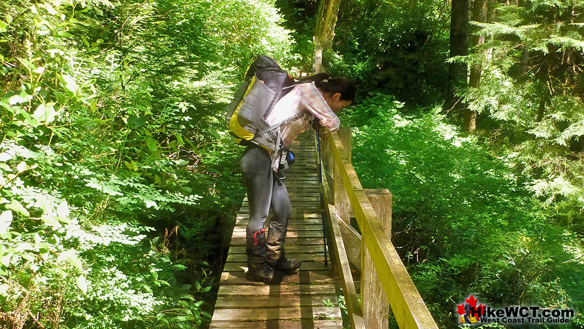 Bridge Over Deep Ravine at 73km