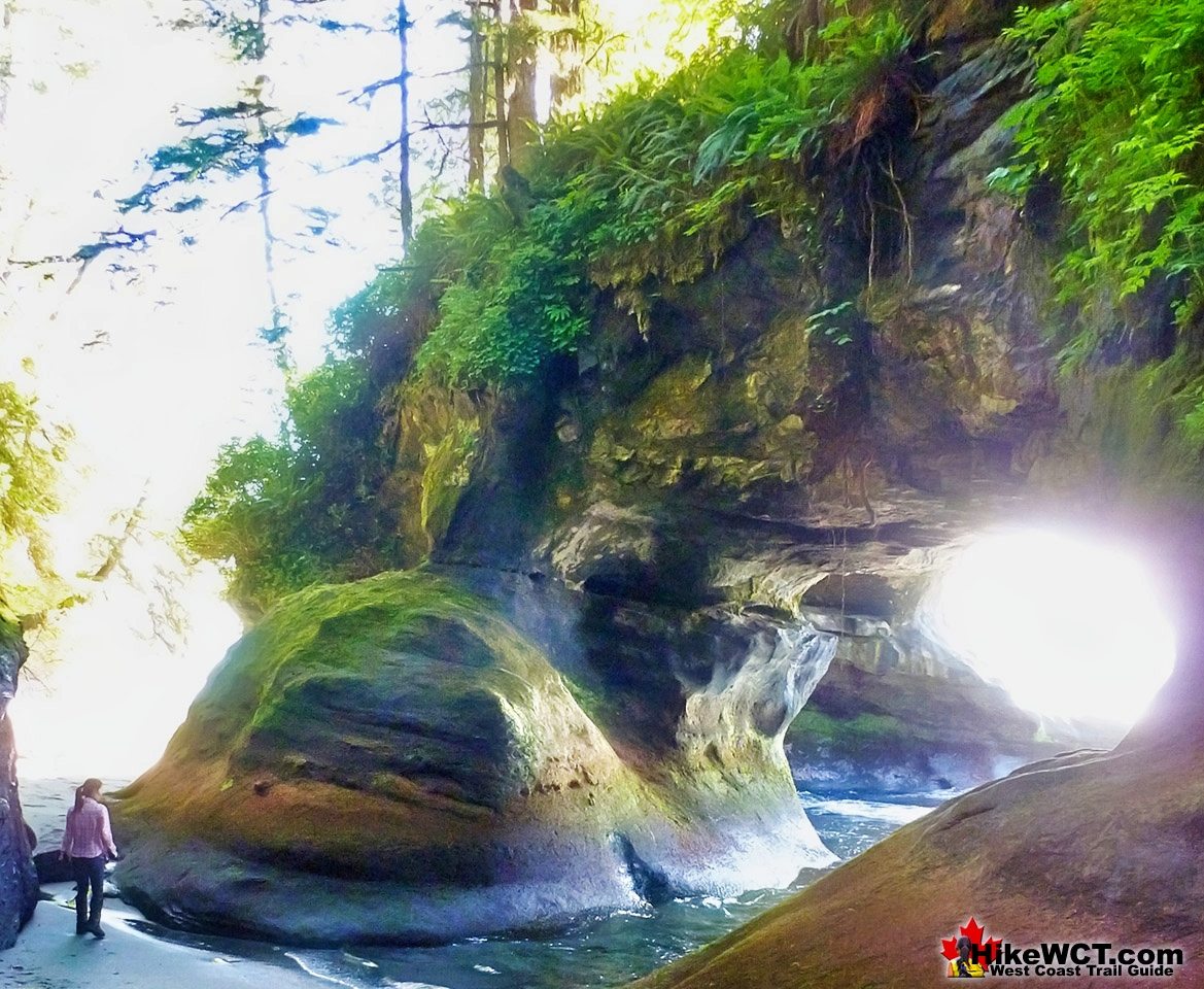 Incredible West Coast Trail